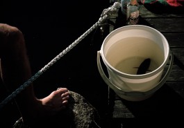 Jennifer Lauren Martin