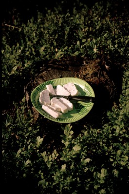 Jennifer Lauren Martin