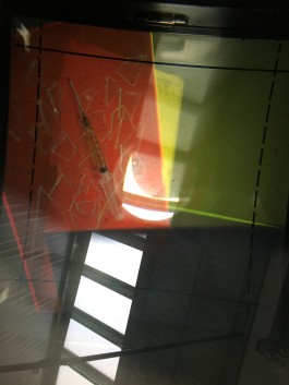 Jennifer Lauren Martin